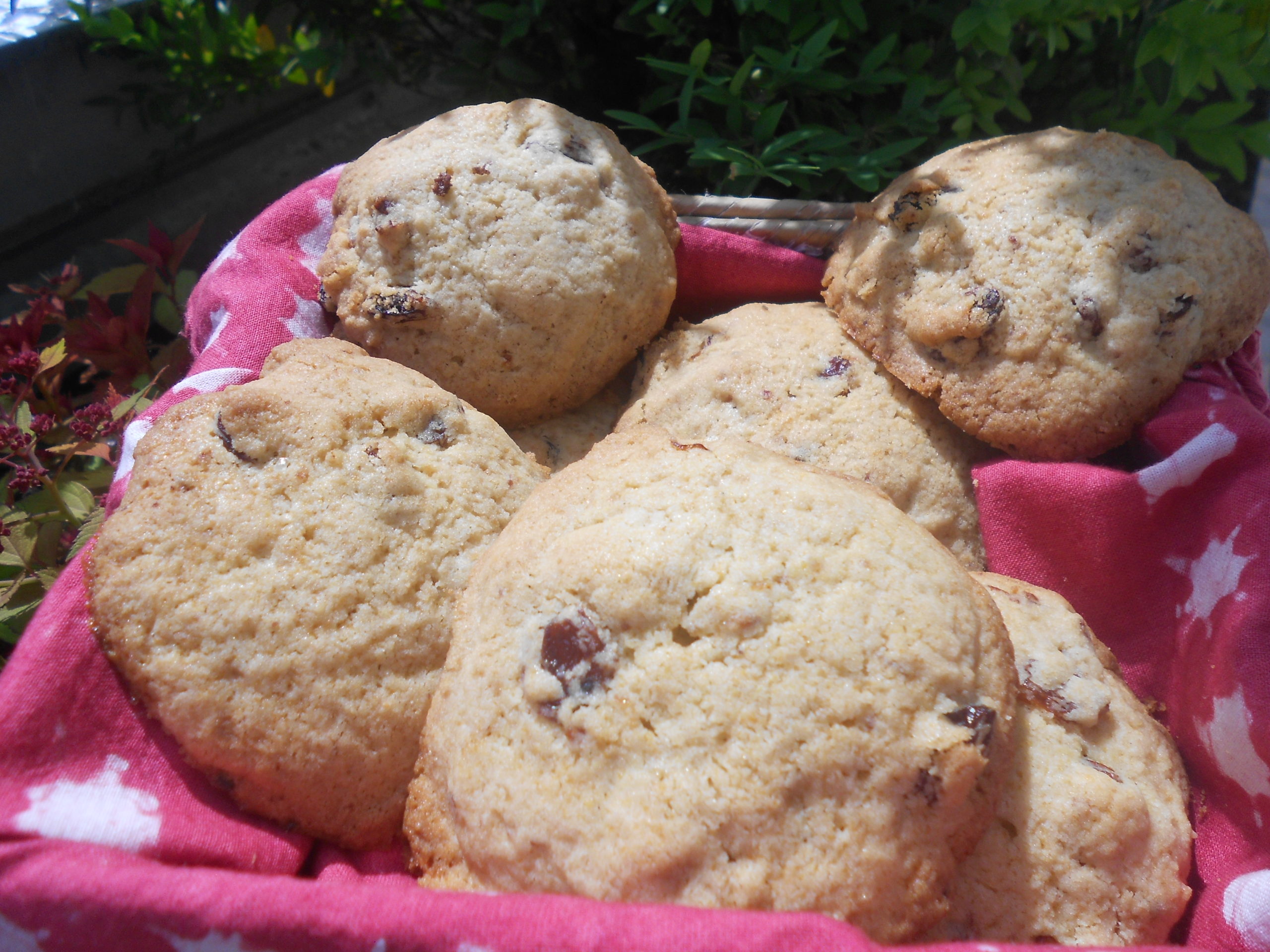 sablés sans gluten