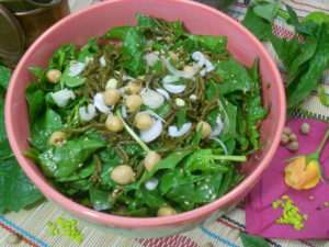 salade riches en anti oxydants