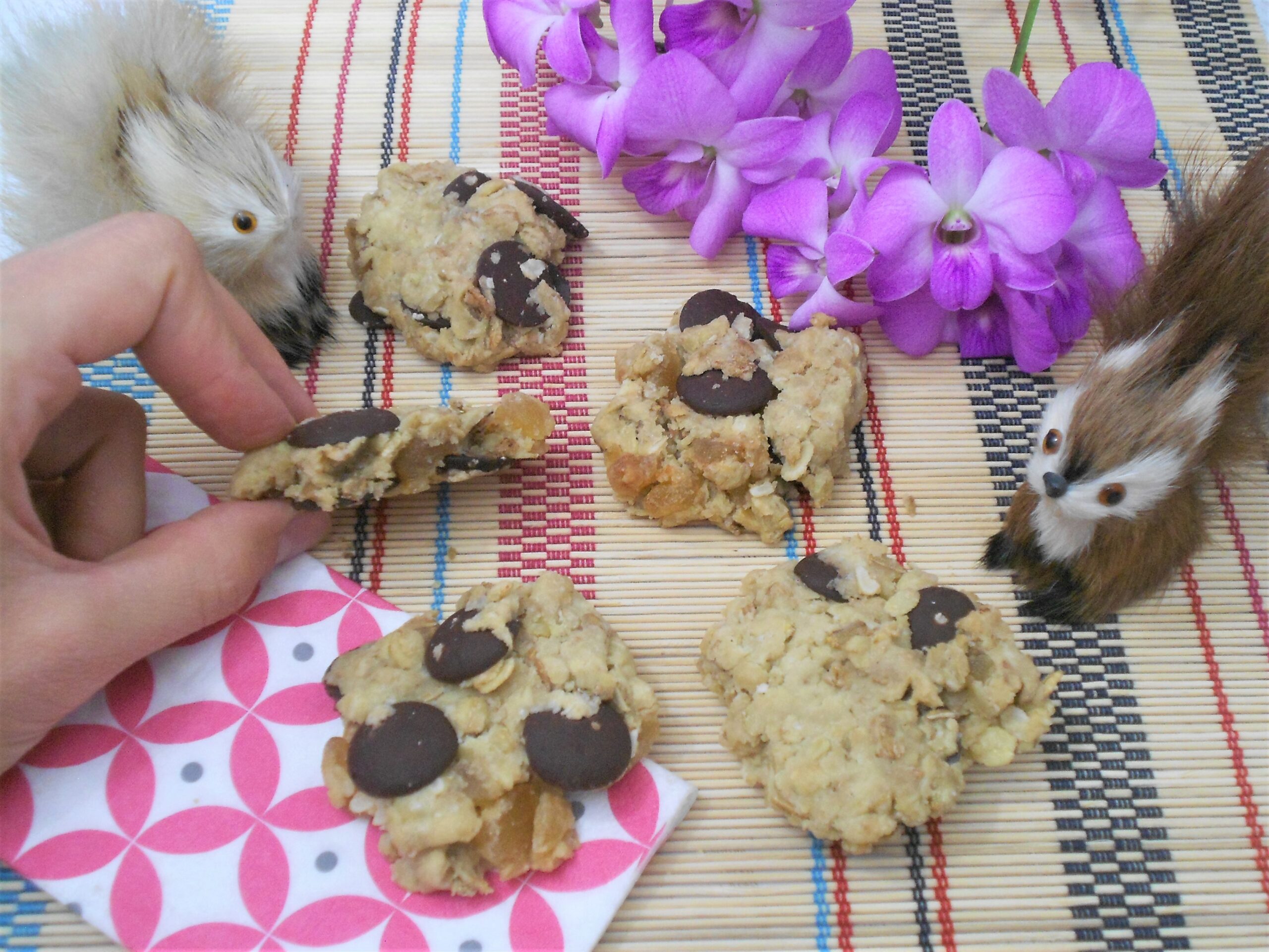 cookies sans oeuf